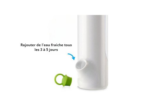 boite-de-conservation-des-herbes-fraiches-remplissage-du-reservoir
