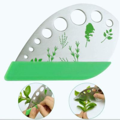 eplucheur-d-herbes-multifonction-et-basilic