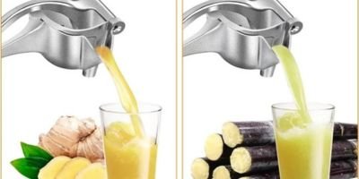 un presse agrumes versant du jus de gingembre et du jus decanne dans des verres