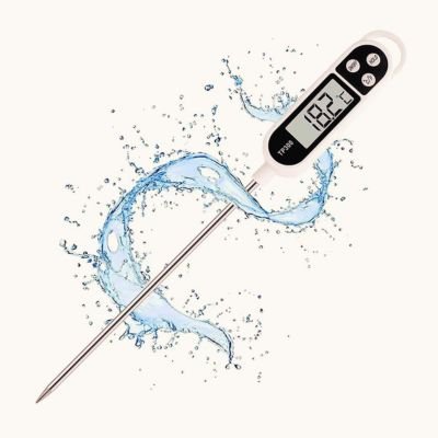 thermomètre de cuisson entouré d'eau