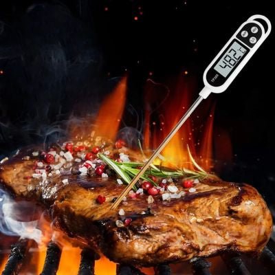 thermomètre de cuisson planté dans une viande sur le barbecue